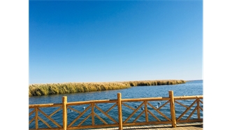 標(biāo)題：額濟(jì)納胡楊林景區(qū)
瀏覽次數(shù)：1608
發(fā)表時(shí)間：2020-10-16