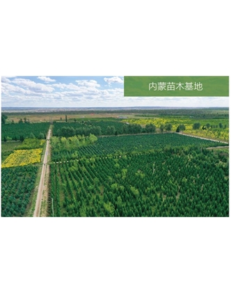 標題：苗木基地
瀏覽次數：2029
發表時間：2020-10-17