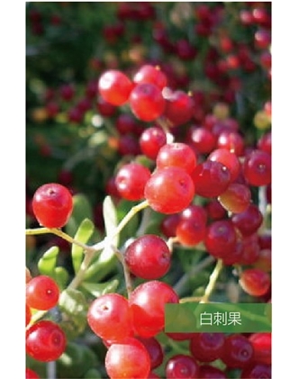 標題：名貴樹種
瀏覽次數：1463
發表時間：2020-10-17