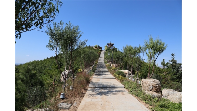 標題：張家口太子山山體修復
瀏覽次數：18382
發表時間：2020-11-12