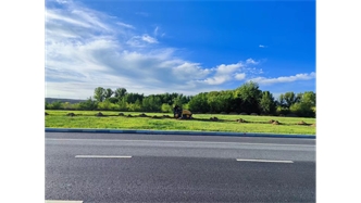 標題：伊利現代智慧健康谷道路綠化建設項目
瀏覽次數：1545
發表時間：2023-11-07